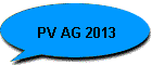 PV AG 2013